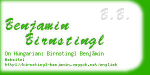 benjamin birnstingl business card